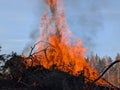 big walpurgis night fire in Sweden Royalty Free Stock Photo
