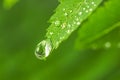 Big water drop on the green grass Royalty Free Stock Photo