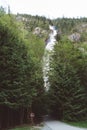 Big waterfall in green forest on sunny day