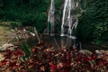 Big waterfall in Indonesia. Waterfalls Of Bali. Landscapes Of Asia. Waterfall among the green mountains. Copy space Royalty Free Stock Photo