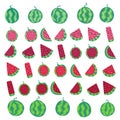 Big watermelon set white isolated stock vector illustration