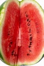 Big watermelon and slice isolated on white background Royalty Free Stock Photo