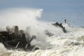 Big wave breaking on breakwater on Liepaja harbor Royalty Free Stock Photo