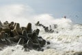 Big wave breaking on breakwater, stormy sea, crashing waves, wave splashing, hurricane season Royalty Free Stock Photo