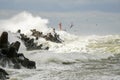 Big wave breaking on breakwater, stormy sea, crashing waves, wave splashing, hurricane season Royalty Free Stock Photo