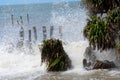 Big waves crushing on shore of a tropical island trees during a storm. Stormy sea weather. Power in nature background. Taken Royalty Free Stock Photo