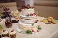 Big wedding cake close-up on the wedding table close up