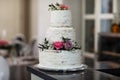 Big wedding cake Royalty Free Stock Photo