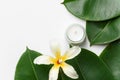 Big wet ficus leaves tropical flower candle on white background. Organic cosmetics wellness spa body care concept Royalty Free Stock Photo