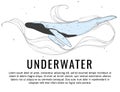 Big whale cute character. Underwater sea humpback lina art.