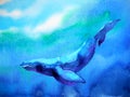 Big whale diving swimming in deep blue ocean sea watercolor painting Royalty Free Stock Photo