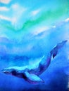 Big whale diving swimming in deep blue ocean sea watercolor painting Royalty Free Stock Photo