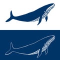 Big Whale. Hand drawn fish logo. Simple icon design in blue and white colors. Vector illustration