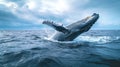 a big whale jumps out of the water Royalty Free Stock Photo
