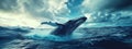 a big whale jumps out of the water Royalty Free Stock Photo