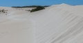 Big what sand dune and native Australian coastal vegetation. Lit Royalty Free Stock Photo