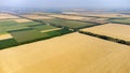 Big wheat field. Different agricultural fields. Panoramic top view.