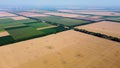 Big wheat field. Different agricultural fields. Panoramic view
