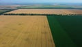 Big wheat field. Different agricultural fields. Panoramic view