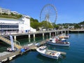 Big wheel and harbour Royalty Free Stock Photo