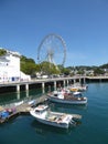 Big wheel and harbour Royalty Free Stock Photo