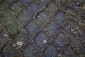 Wheel tracks on the soil. Royalty Free Stock Photo