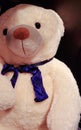 White stuffed toy, teddy tear