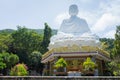 Big white buddha Royalty Free Stock Photo