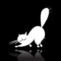 Big white cat silhouette on black Royalty Free Stock Photo