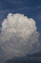 Big white cloud Royalty Free Stock Photo
