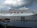 Big white cruise in sea