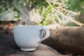 Big white cup coffee or hot drink on the rock under tree shade Royalty Free Stock Photo