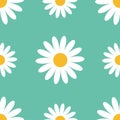 Big white daisy chamomile. Cute flower plant collection. Camomile icon Growing concept. Seamless Pattern Wrapping paper, textile t