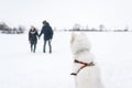 The big white dog watches the loving couple in winter day. Royalty Free Stock Photo