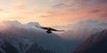 big white eagle flying in the sky in the mountains against high mountain range Royalty Free Stock Photo
