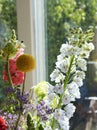 Big white flower in front of a window with refelctions, various other flowers in the background