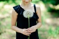 Big white fluffy dandelion in the hands of a child on a summer green background. Summer baby photo Royalty Free Stock Photo