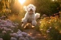 Big white fluffy dog jumping in the flower garden at sunset. Generative AI