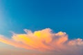 Big white fluffy sunset cloud Royalty Free Stock Photo