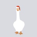 Big white goose in Santa Claus helper hat isolated design element. Funny and cute goose full length vector illustration Royalty Free Stock Photo