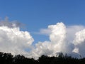 Big white and gray clouds above the forest