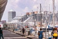 Passenger ships, ferries and yachts in the port - Porto Antico in Genoa, Liguria, Italy, Europa.