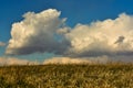 Big White Puffy Clouds over Grassy Landscape