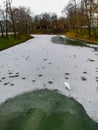 Big swan walking on thin sheet of ice full of snow on city moat Royalty Free Stock Photo