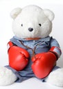 Big white Teddy Bear wear the boxing glove Royalty Free Stock Photo