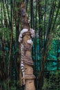 Big White Tiger Climbing on the Tree