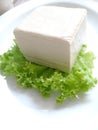 Big white tofu on a white plate