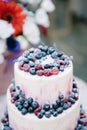 Big white wedding cake with fruit is on the table Royalty Free Stock Photo