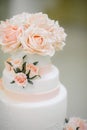 Big white wedding cake with fruit is on the table Royalty Free Stock Photo