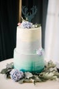 Big white wedding cake with fruit is on the table Royalty Free Stock Photo